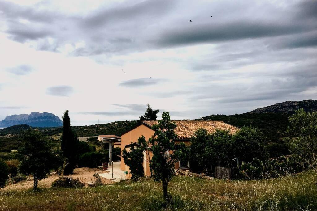 Villa MARE e CAMPAGNA Murta Maria Esterno foto